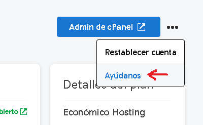 optimización con Google AMP