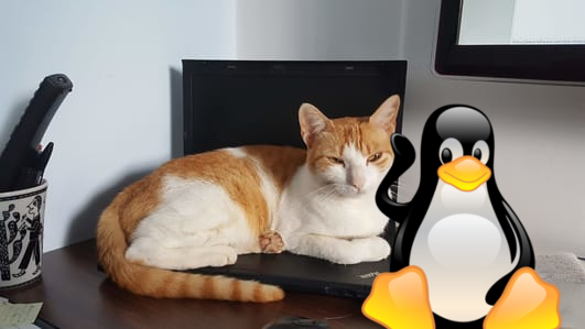 Desactivar el teclado de la laptop en Linux