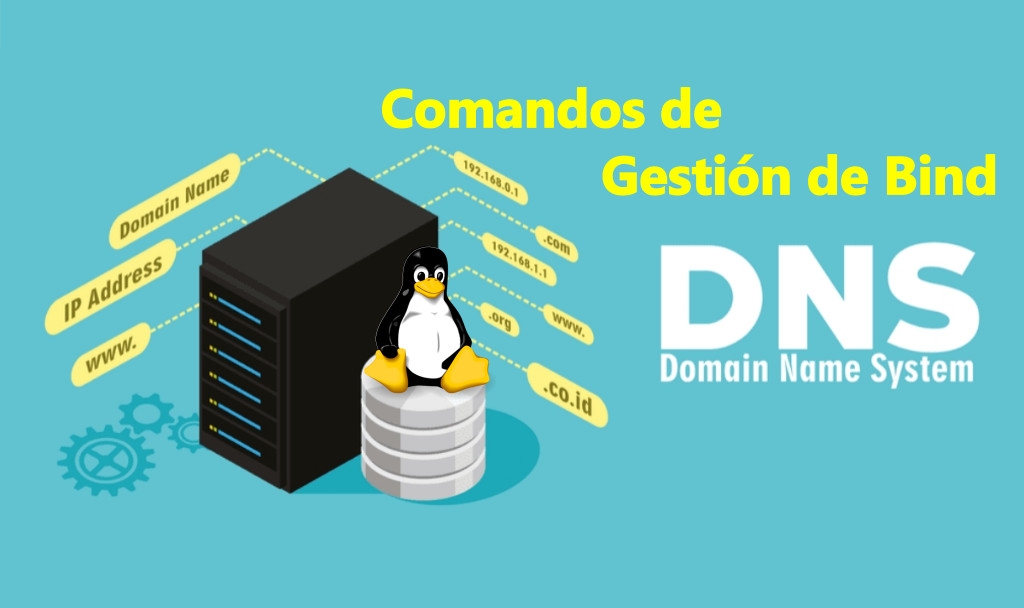 🥇 Comandos de gestión de Named Bind - Servidor DNS en Linux